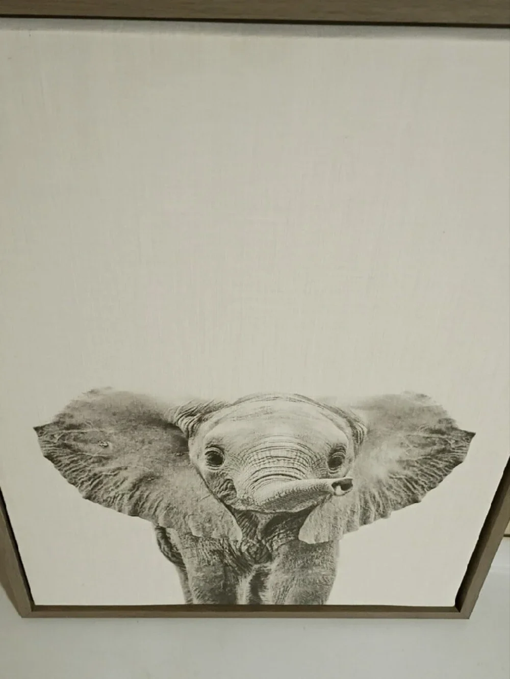 Neutral Gray Elephant Canvas Wall Art